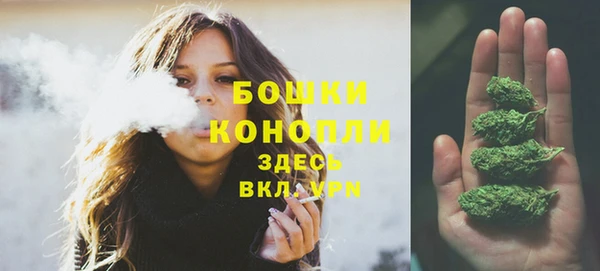 гашик Лагань