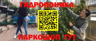 прущие грибы Балахна