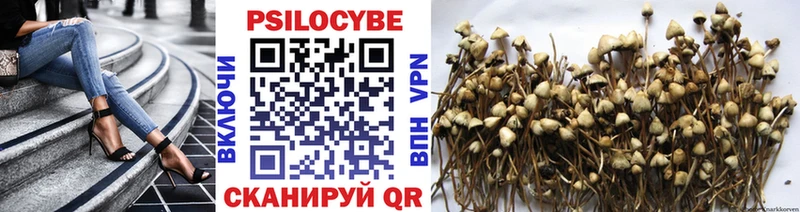Псилоцибиновые грибы MAGIC MUSHROOMS  как найти закладки  blacksprut ONION  Домодедово 