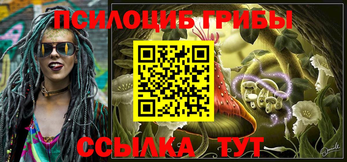 Галлюциногенные грибы прущие грибы  Домодедово 