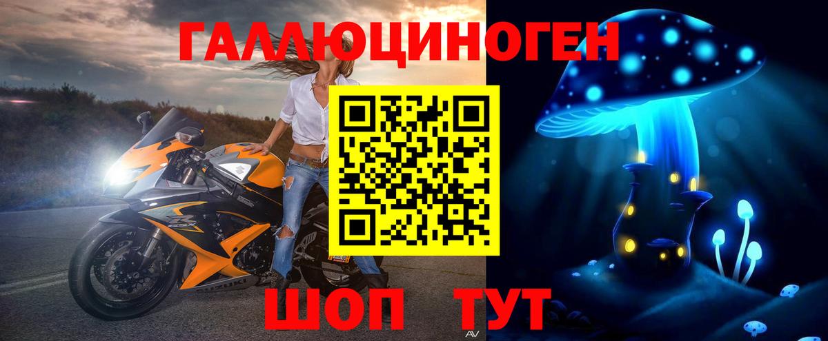 Галлюциногенные грибы Psilocybine cubensis Домодедово