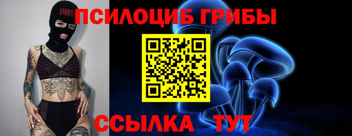 Псилоцибиновые грибы MAGIC MUSHROOMS Домодедово